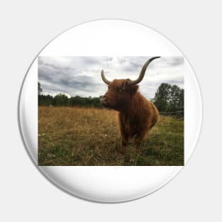 Scottish Highland Cattle Cow 2073 Pin