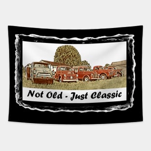 Not Old - Just Classic Tapestry