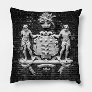 Coat of Arm Pillow