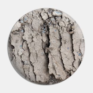 Arid mud flats Pin