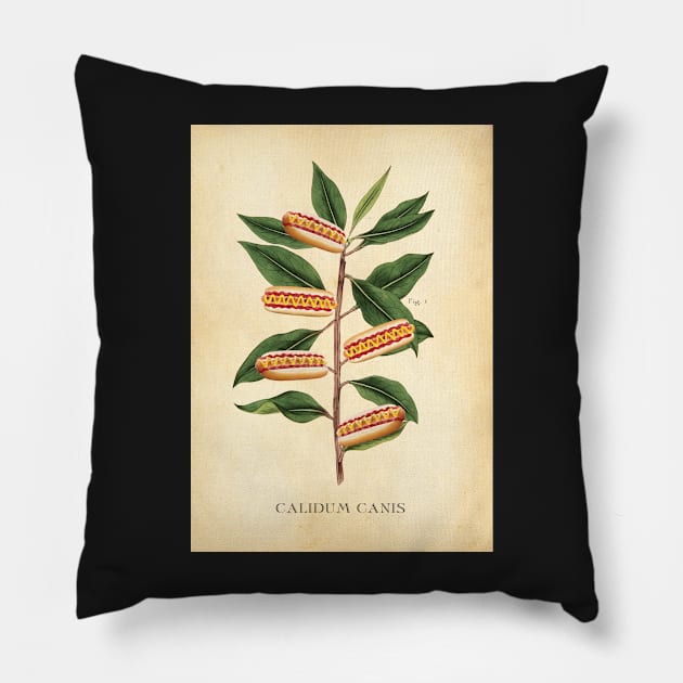 Hotdog Wall Art, Botanical Prints, Hotdog Art Print, Gallery Wall, Funny food Humour Pillow by Highdown73