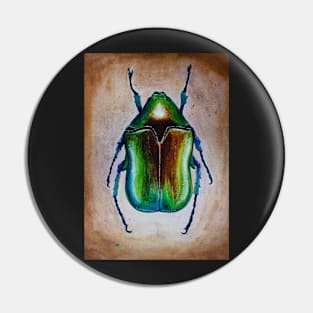 Beetle Pin