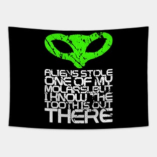 Alien Ufo Area 51 Tapestry
