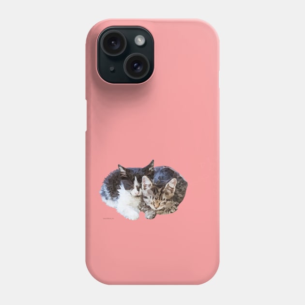 Sleeping Kittens Phone Case by newmindflow