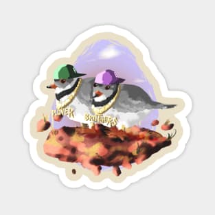 Plover Brothers Magnet