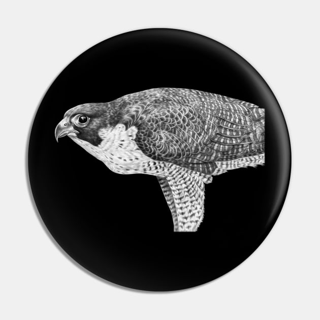 Peregrine Falcon Pin by Tim Jeffs Art