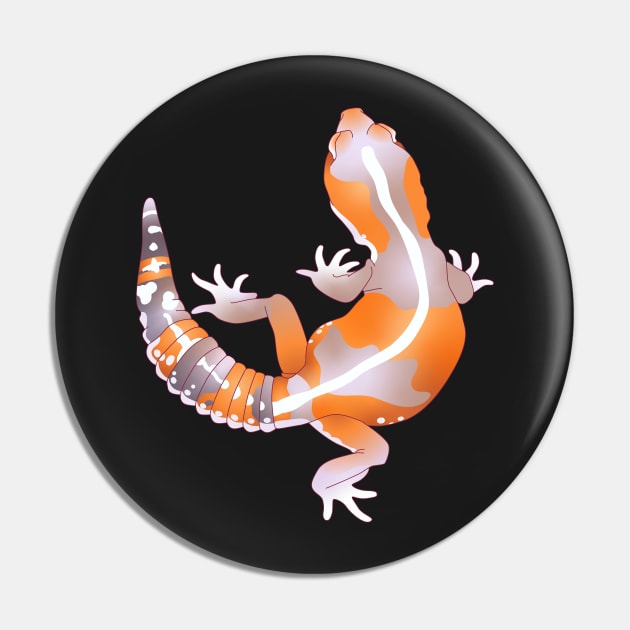 Striped Albino African Fat Tailed Gecko Pin by ziafrazier