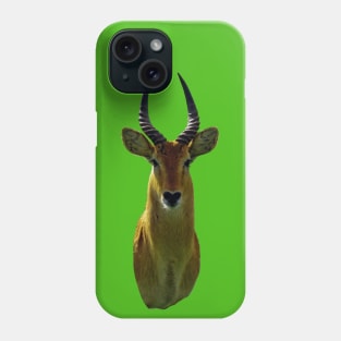 Antelope An Animal Portrait Phone Case