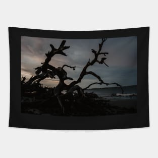 Driftwood Beach on Jekyll Island Tapestry