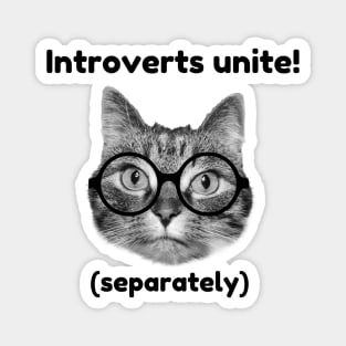 Introverts unite! (separately) Magnet