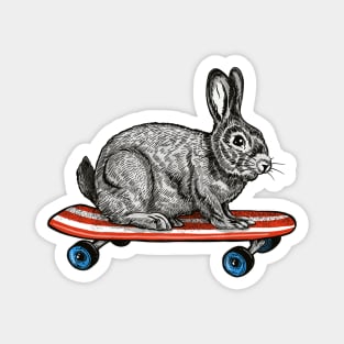 Skate Bun Magnet