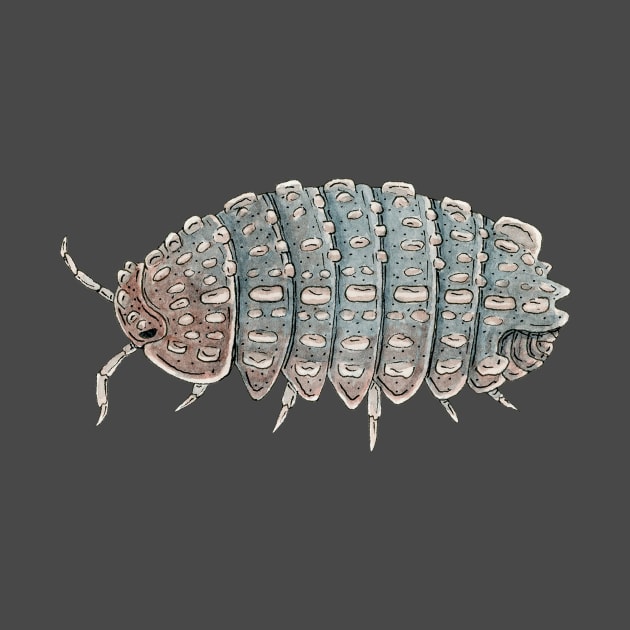 Reductoniscus tuberculatus Isopod by paintedpansy