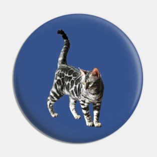 Bengal Cat Kitten Silver Spotted Beauty Pin