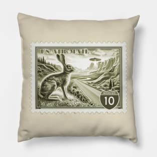 Saucer and Jackrabbit stamp Pillow