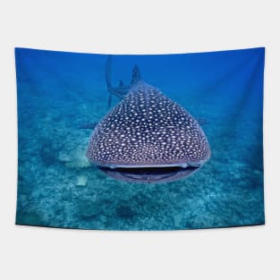 Big whale shark photography Tapestry