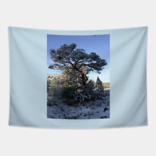 Tree in a snowy landscape Tapestry