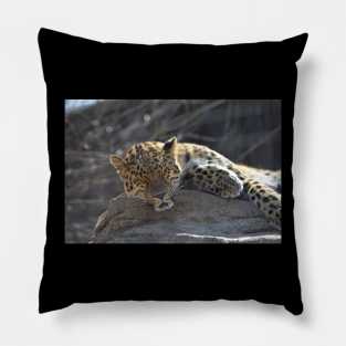 Leopard Pillow