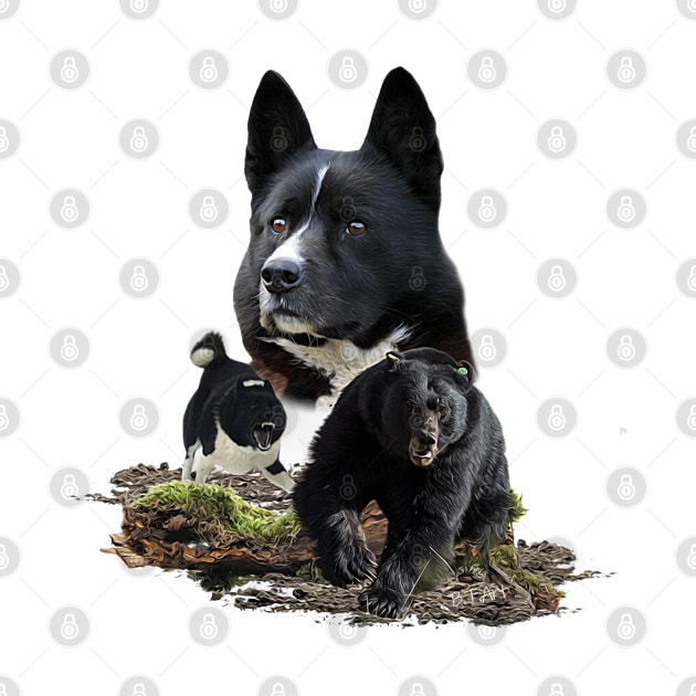 Karelian Bear Dog by German Wirehaired Pointer 