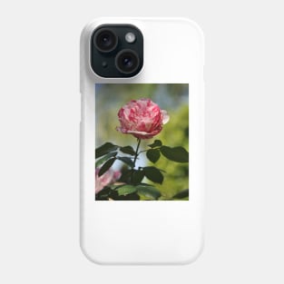 Candy Cane Rose Phone Case