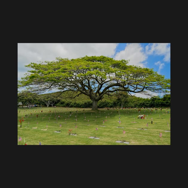 Punchbowl Hawaii by randymir