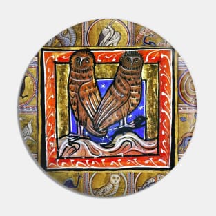 MEDIEVAL BESTIARY ,TWO OWLS, FANTASTIC ANIMALS IN GOLD RED BLUE COLORS Pin