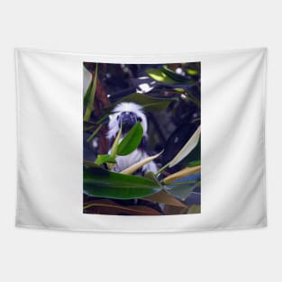 Cotton-top Tamarin Tapestry