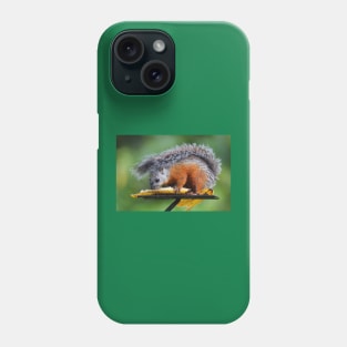 Variegated Squirrel Phone Case