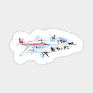 Air Canada Geese Magnet