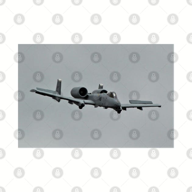A-10 Warthog by acefox1