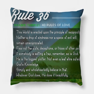 40 RULES OF LOVE - 36 Pillow