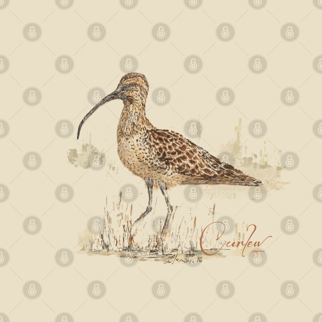 Curlew by jellygnomes