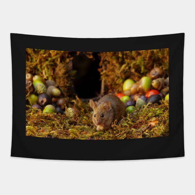 Wild  cute garden mouse Tapestry by Simon-dell