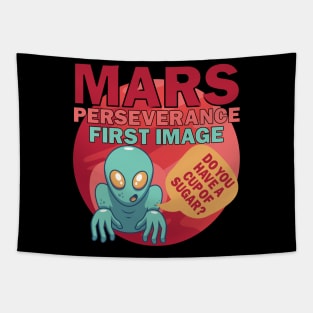 Mars Perseverance Vehicle First Image Alien Do You Have A Cup Of Sugar Tapestry