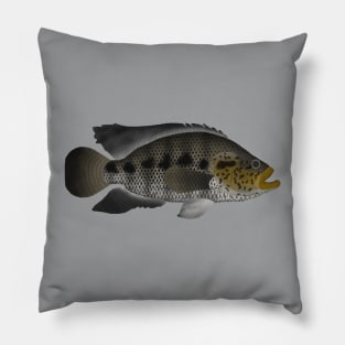 Jaguar Cichlid Pillow