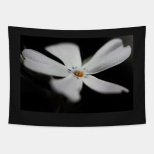 White Phlox Macro Tapestry