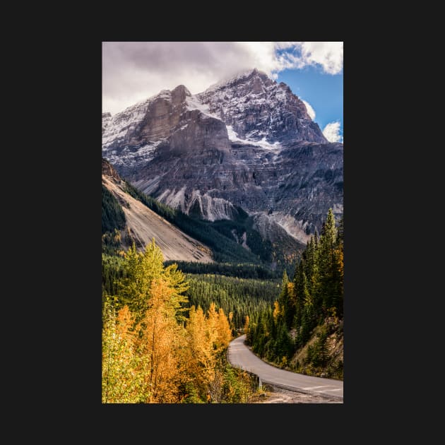 The Poplars of Yoho Valley Road by krepsher