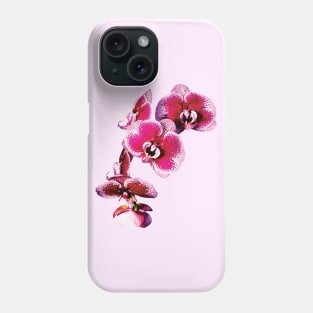 Vivid Maroon Phalaenopsis Orchids Phone Case