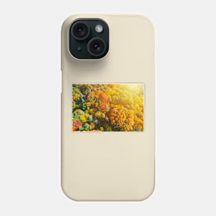 Aerial view of color autumn forest and sunset Phone Case