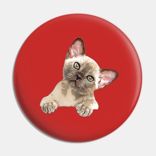 Burmese Kitten Cute Cat Pin