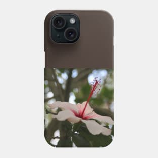 Hibiscus flower on its tree Phone Case