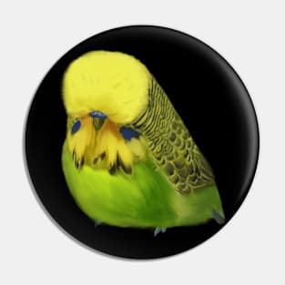 Super cute budgerigar Pin