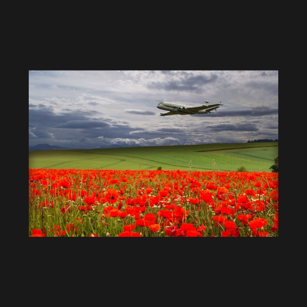 RAF Nimrod Poppy Pass by aviationart