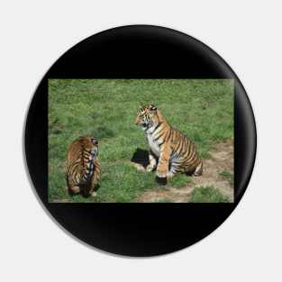 Tiger Cubs Pin