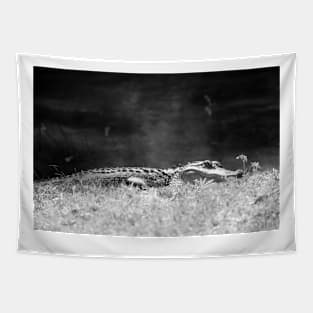 Alligator In Black And White Tapestry