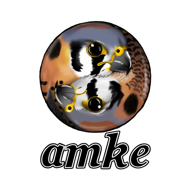 AMKE - The American Kestrel by Shokokuphoenix