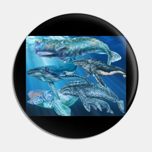 Whales Pin