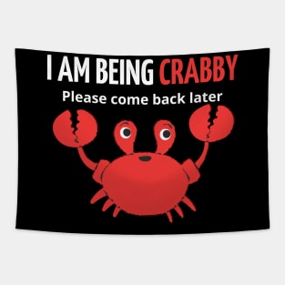 i am being crabby please come back later Tapestry