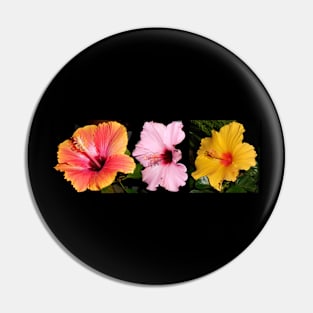 Three Beautiful Hibiscus Flowers Pin