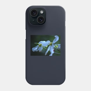 Dogwood Blossom Phone Case