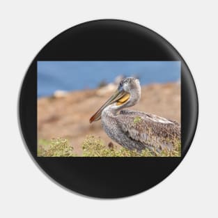 Brown Pelican Pin